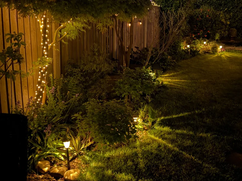 Pathway and landscape lighting on a Williamson County property